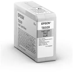 Original Epson C13T850900 / T8509 Tintenpatrone schwarz hell hell
