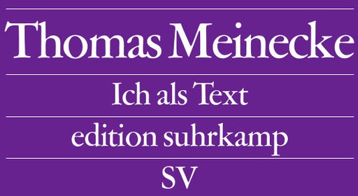 Ich Als Text - Thomas Meinecke  Taschenbuch