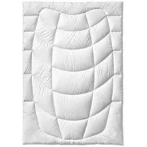 sanders-kauffmann gmbh Kauffmann Sensofill Active Bettdecke medium