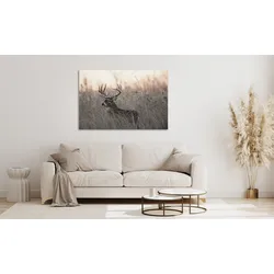 Acrylglasbild QUEENCE "Emino", beige (farbe bild(er): beige), B:120cm H:80cm, Bilder, Fine Art-Print in Galeriequalität
