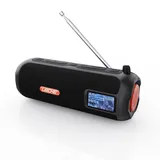 Leicke DAB+ Radio Tube schwarz