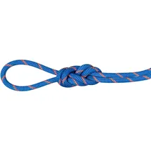 Mammut Alpine Sender Dry Halbseil Blau/Weiß
