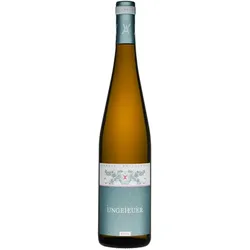 2022 Forster Ungeheuer Riesling trocken