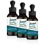 increase naturally Liposomale Spirulina & Chlorella Tropfen 180 ml