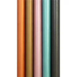 Clairefontaine 30x Kraftpapier Perlmutt 54g, Display mit 30 Rollen 2x0,70m - Sortierung 95796C