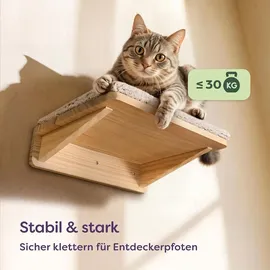 knupis Katzen Kletterwand Set mit Katzenbett & 2X Katzentreppe – Kiefernholz, Stabile Wandliege bis 30 kg – Für Spielspaß & Gemütlichkeit - Beige