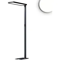 ISOLED LED Office Pro Stehleuchte Up/Down, 80W/20W, schwarz, UGR