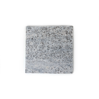 Terrassenplatte Granit granitfarben 40 x 40 x 3 cm