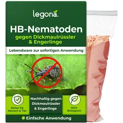 HB-Nematoden gegen Dickmaulrüssler und Engerlinge