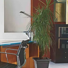 Euro3Plast Untersetzer Krea 32 x 32 cm anthrazit