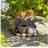 esotec Solarbrunnen Hundewelpen Milo & Buddy