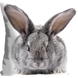 Dekokissen QUEENCE "Sixten", grau (grau, bedruckt), B:40cm L:40cm, Polyester, Dekokissen_Sitzkissen_Kissenhüllen, mit einem flauschigen Hasen