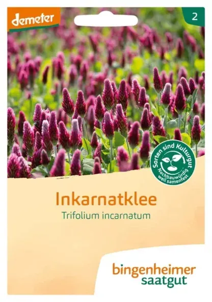 Bingenheimer Saatgut Inkarnatklee demeter