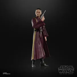 Hasbro Padmé Amidala Action-Figur 15 cm