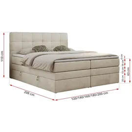 MKS Meble Boxspringbett mit Bettkasten ¦ beige ¦ Maße (cm): B: 160 H: 110