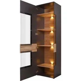 Forte Como Vitrine mit 1 Glastür, Holzwerkstoff, Uni Wolfram grau / Planked Eiche, 60,4 x 203,3 41,3 cm