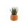 Möbel Kraft Boaz Ø 21 x 16,5 cm Orange