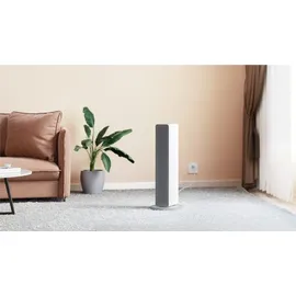 smartmi ZNNFJ07ZM 2000 W Weiß