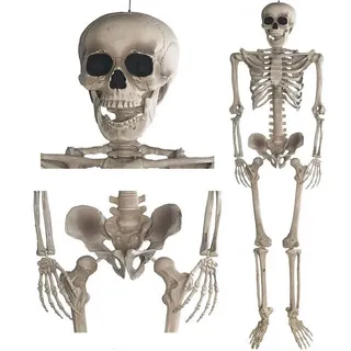 Goods & Gagdets Gmbh GOODS+GADGETS Deko Skelett 160 cm - Party & Halloween Dekoration Ganzkörper Horror Skeleton