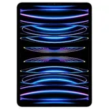 256 GB Wi-Fi + Cellular silber