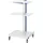 Rau Computer-Ständer mobil BxTxH 650x650x1150mm