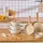 KARACA Swiss Crystal Almond Cream 12-teiliges Kochgeschirr-Set, Antihaftbeschichtung, PFAS-frei, SwissCrystal-Oberfläche, enthält Töpfe, Pfannen & Kochutensilien