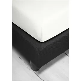 BIERBAUM Spannbettlaken Jersey 140 x 200 - 160 x 220 cm weiß