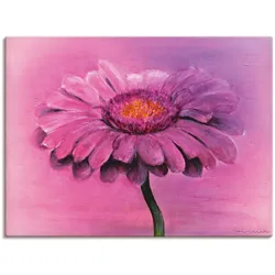 Leinwandbild ARTLAND "Gerbera", pink (farbe bild(er): pink), B:80cm H:60cm T:1,8cm, Canvas, Leinwand, Bilder, auf Keilrahmen gespannt