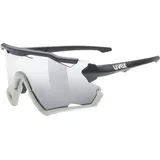 Uvex Sportstyle 228 Sonnenbrille (Größe One Size, grau)