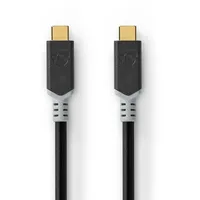 Nedis USB-C 2,00 m Gold