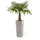 Ecopots Amsterdam Ø 34 x 66 cm Braungrau