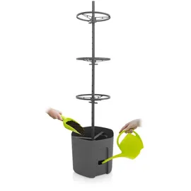 Buri 3x BURI Tomatenpflanztopf mit Rankhilfe Anthrazit Tomatentopf Pflanzkübel Pflanztopf Blumentopf Blumenkübel Kletterhilfe Anzuchttopf