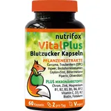 Nutrifox® - 60 Blutzucker Kapseln Vital Plus (Ceylon-Zimt, Chrom, Zink, OPC, Bittermelone, Bockshornkleesamen, Kurkuma, Ingwer, Vitamin B-Komplex, usw.) 1 Monat, von Beratern für Diabetes