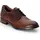 LLOYD Businessschuhe Businessschuhe Leder - Braun - 40,5