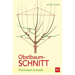 Obstbaumschnitt