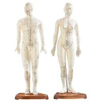 Akupunktur-Figuren 2er-Set (Mann/Frau)