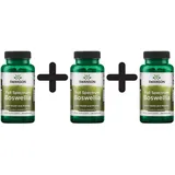 Swanson Health Products Full Spectrum Boswellia Kapseln 60 St.