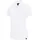 AS Arbeitsschutz Nitras MOTION TEX Plus Poloshirt XL schwarz