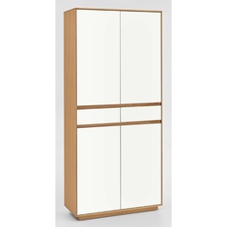 V100 Mehrzweckschrank