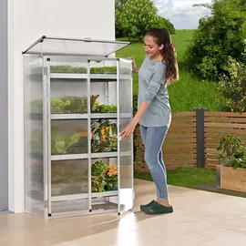 BECKMANN Gewächshaus Alu Silber 6 mm 0,38 m2