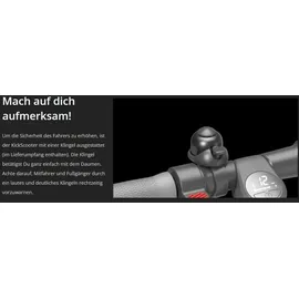 Segway Ninebot E45D E-Scooter (9 Zoll, Grau)