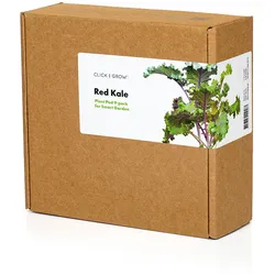 Click & grow Pflanzkapsel - Rotkohl (9-er Packung)