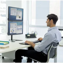 Fellowes Monitorarm Freistehend Doppel Schwarz