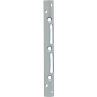 ABUS SSB400 20x25 SB Sich.-Schliessblech (Schliessblech)