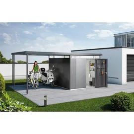 Biohort Seitendach Gr. L für Gerätehaus HighLine H5 282 x 315 x 222 cm Grau/Silber