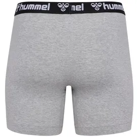hummel 2er-Pack Boxershorts (224039)
