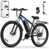 DUOTTS C29 Elektrofahrrad für Erwachsene, E-Mountainbike mit Abnehmbarer 48V 15Ah Akku und 250W Motor, Professionelles 21-Gängen und LCD-Display, Pendlerfahrrad für Herren und Damen (Einzelbatterie)