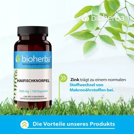 bioherba reichenbach gmbh ood Haifischknorpel 550 mg Kapseln 100 St.