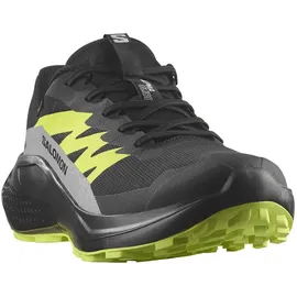 Salomon Alphaglide Goretex Trailrunningschuhe - Black / Alloy / Sharp Green 46 2/3