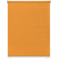 paramondo Außenrollo Senkrechtmarkise | freihängend, 140x240 cm, orange | paramondo Balkonrollo